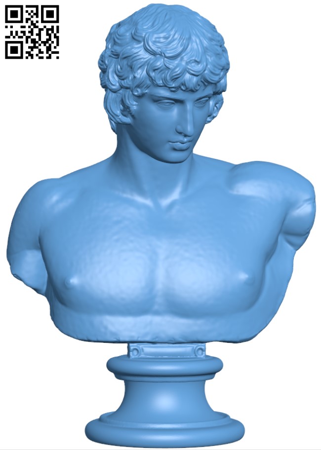 Portrait of Antinous H005501 file stl free download 3D Model for CNC and 3d  printer – Free download 3d model Files