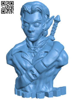 Link bust – Zelda H006618 file stl free download 3D Model for CNC and 3d printer