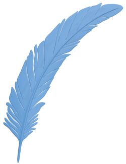 Feathers T0008910 download free stl files 3d model for CNC wood carving