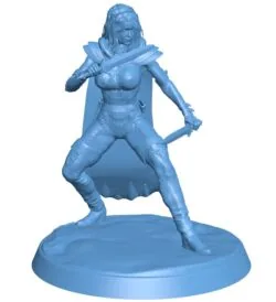 Dual sword assassin B0011944 3d model file for 3d printer