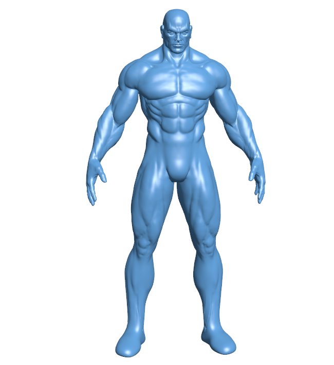 Muscular man B0011989 3d model file for 3d printer