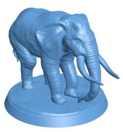 Old elephant B0012009 3d model file for 3d printer