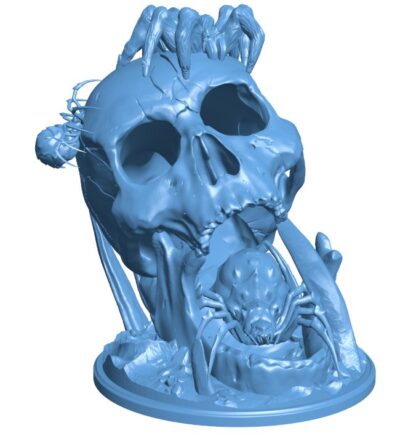 Skull-shaped spider nest B0011921 3d model file for 3d printer