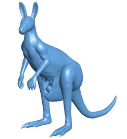 Kangaroo female B0012118 3d model file for 3d printer