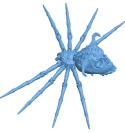 Skull spider B0012049 3d model file for 3d printer