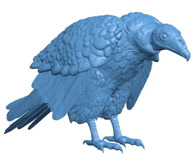 Vulture B0012412 3d model file for 3d printer