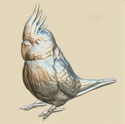 Parrot A007057 download free stl files 3d model for CNC wood